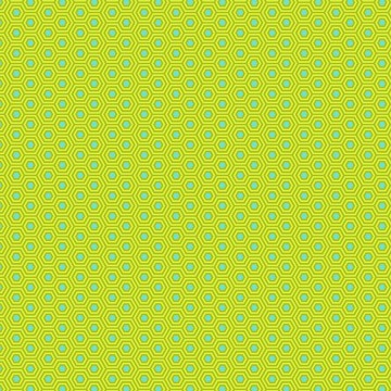 Hexy pwtp150chameleon